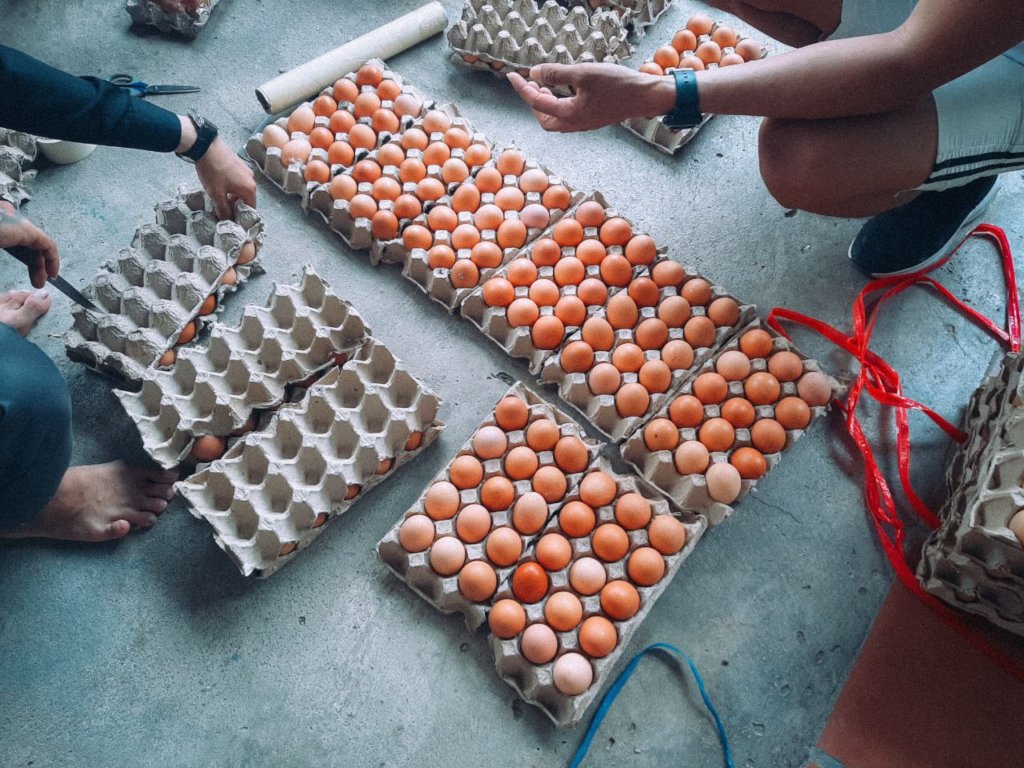 Provide Pandemic Relief For 500 Cambodian Families