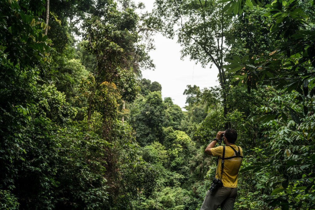 Help Save The Bush in Australia