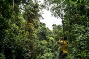 Help Save The Bush in Australia