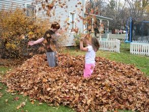 Playing in Leaves