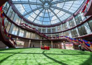 Center Circle with Artificial Turf