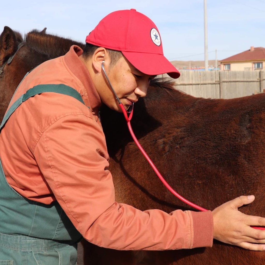 Mongolian Herder Veterinarian Training