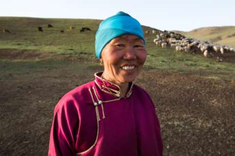 Mongolian Herder Veterinarian Training