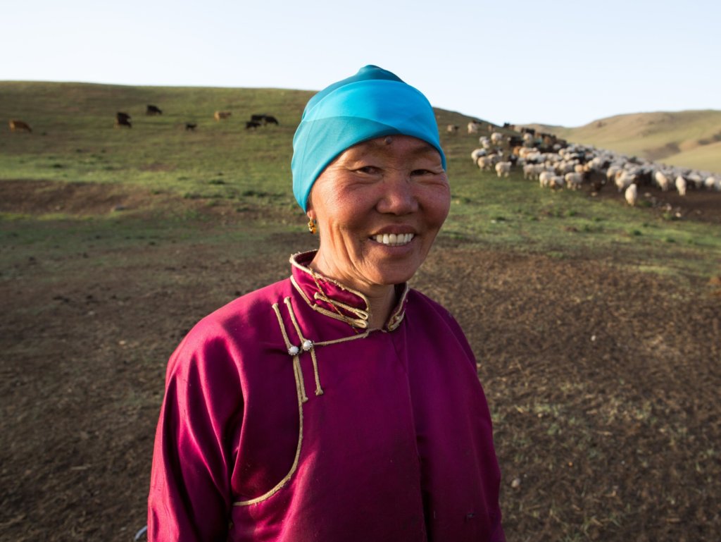 Mongolian Herder Veterinarian Training