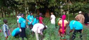 OMLA Community Development Project