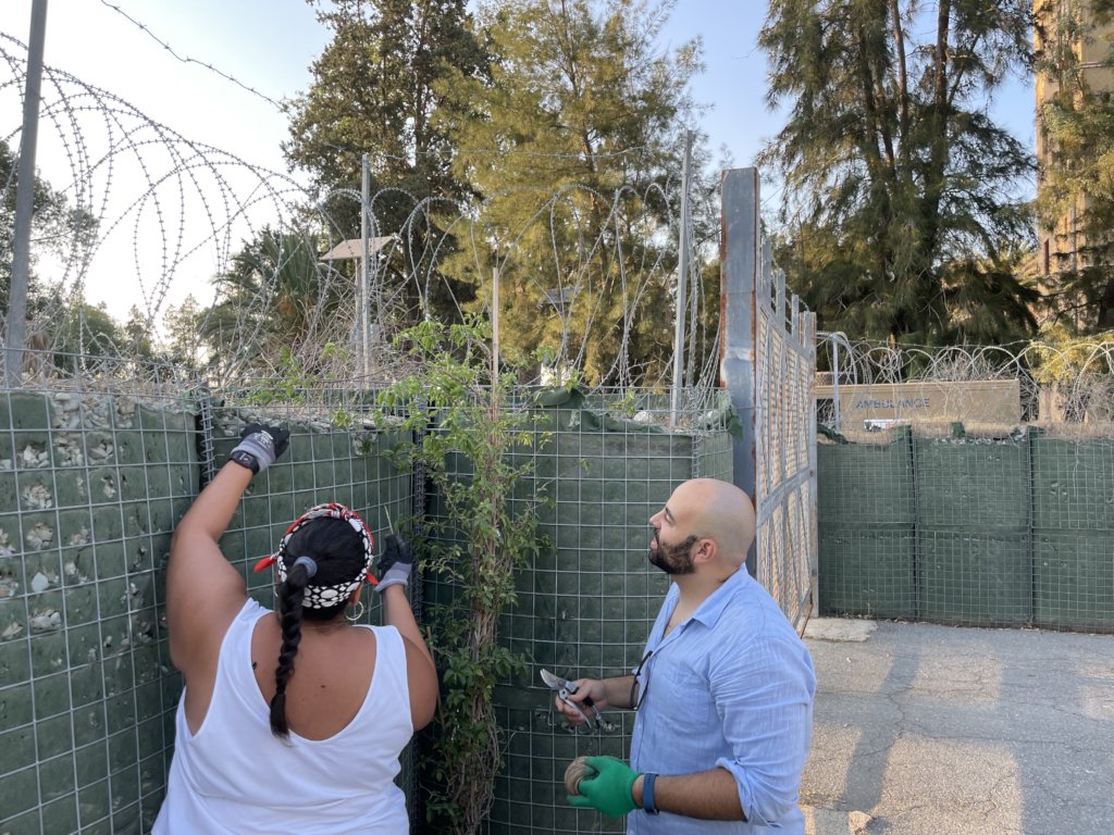 Building Peace Through Entrepreneurship in Cyprus