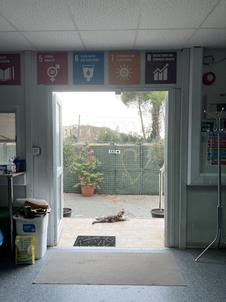 Building Peace Through Entrepreneurship in Cyprus