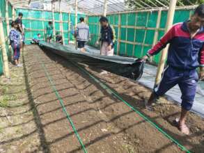 Nursery preparation for seedlings