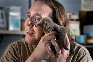 Healthy penguin chick hatched at Zoo