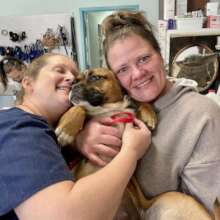 Sweet puppy girl Chispa with Jess and Christi