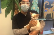 Help the Neediest Get Veterinary Care