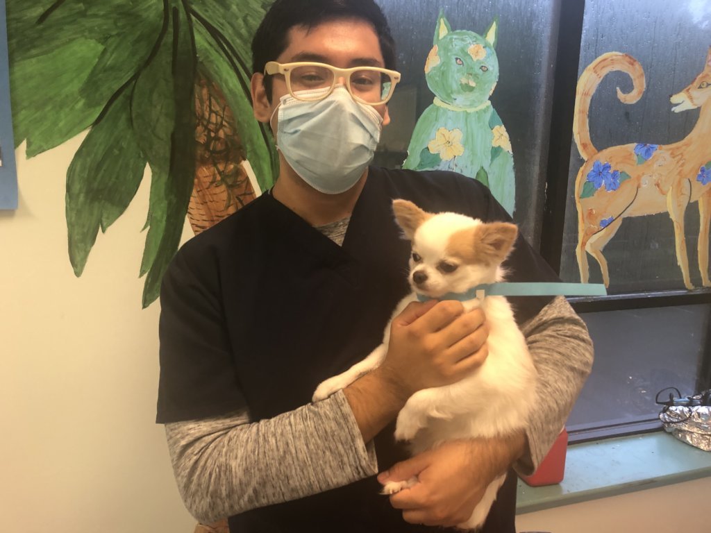 Help Low Income MD-VA-DC Area Get Veterinary Care