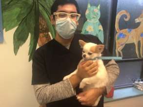 Help the Neediest Get Veterinary Care