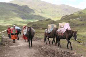 We are trekking in the filters by horseback!