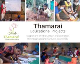 Thamarai Education Activities