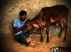 Livestock assistant Munim loves his work at TOLFA