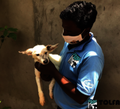 Nurturer Bunty with a rescued puppy