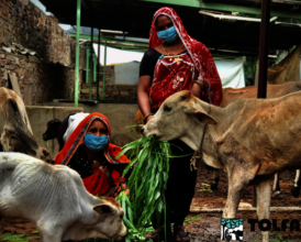 Our staff Tija & Mohni have large families at home
