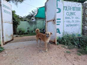 The dispensary gates at TOLFA Animal Hospital