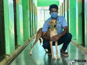 Our staff love caring for the animals at TOLFA