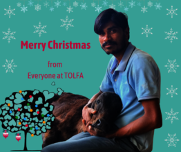 Merry Christmas from us all!