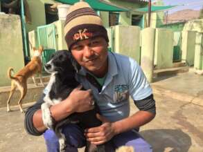 Our staff are very caring and dedicated to animals