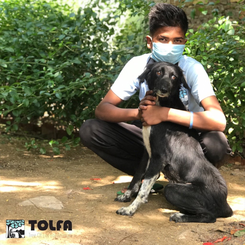 Covid-19 Help For 50 Animal Welfare Staff In India