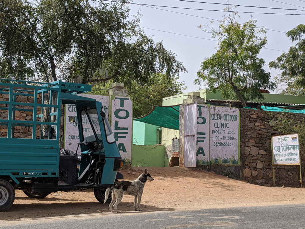 Covid-19 Help For 50 Animal Welfare Staff In India