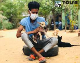 TOLFA staff care for over 500 animals daily