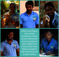 Some of our staff affected by the Covid crisis