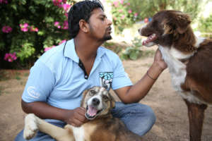 All our staff love the animals we help
