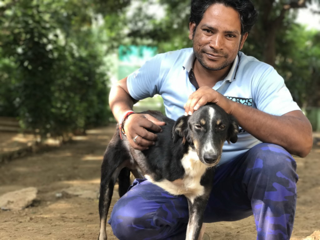 Covid-19 Help For 50 Animal Welfare Staff In India