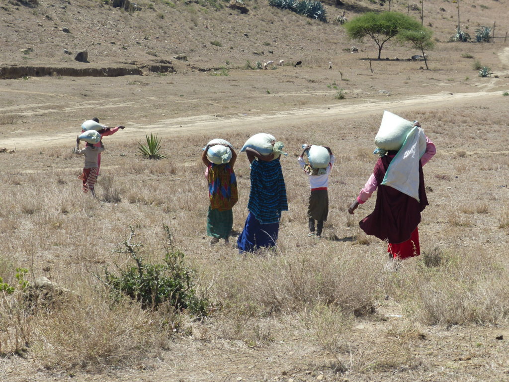 Food Aid and School Supplies