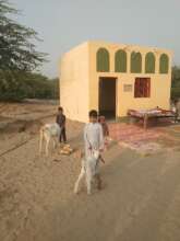 A new home with goats