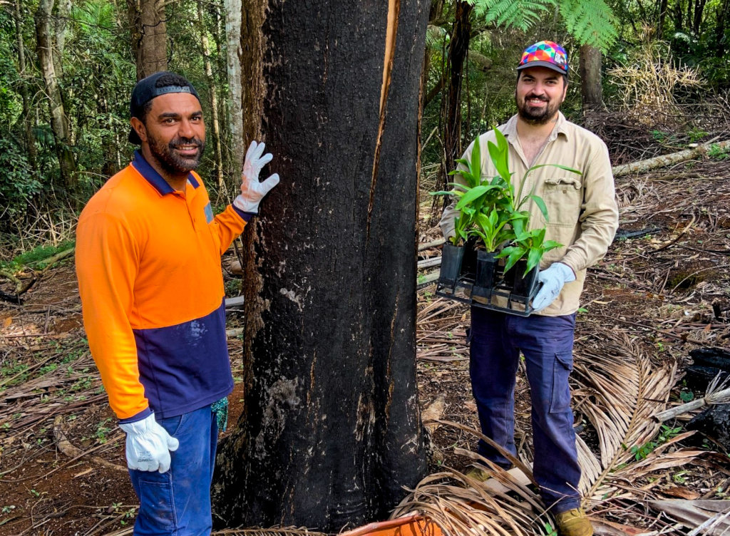 Australia Bushfire Recovery Continues!