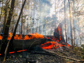 Bushfires in Australia 2019-2020