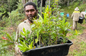Australia Bushfire Recovery Continues!