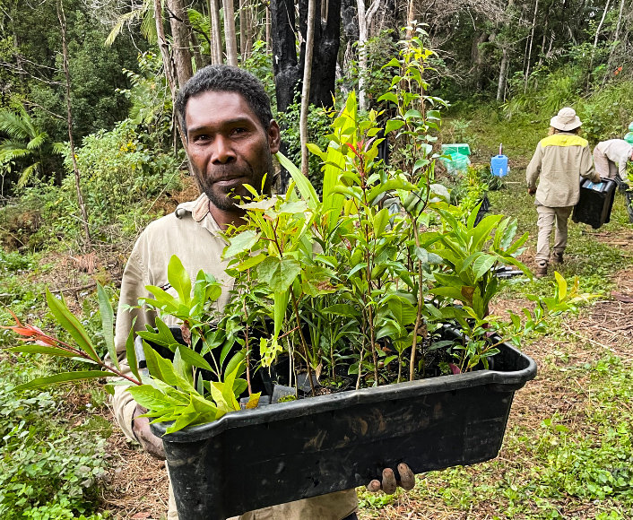 Australia Bushfire Recovery Continues!