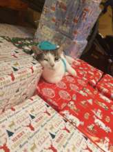 Gifts waiting to be shipped