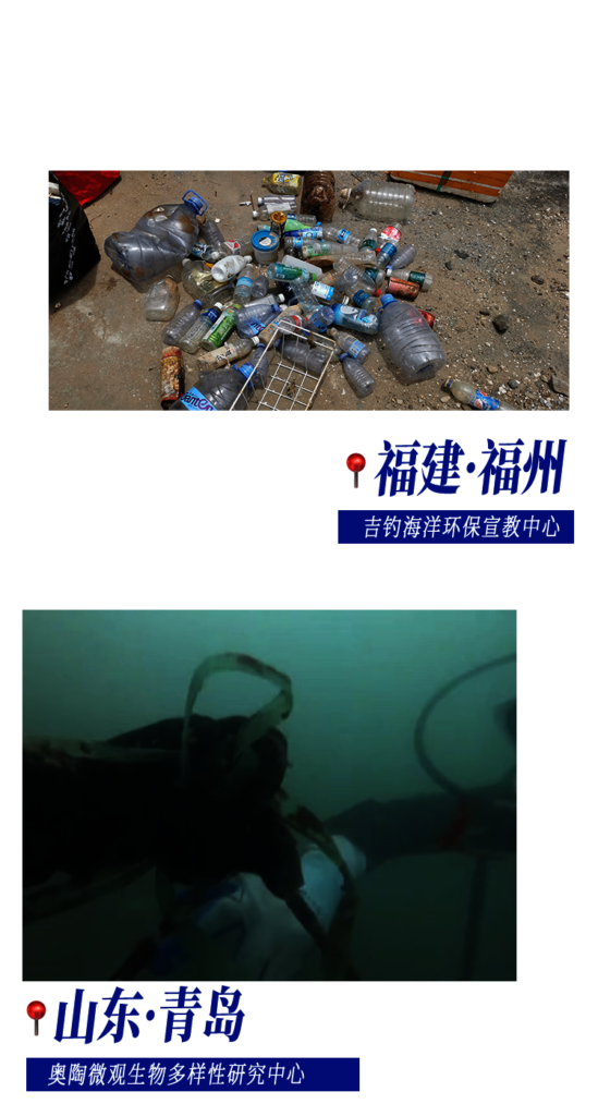 Coastal Cleanup in China