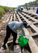 coastal marine litter picking-up