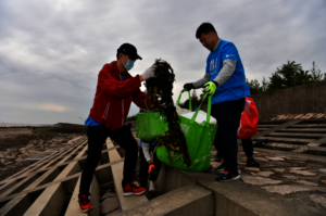 Marine Litter Cleanup