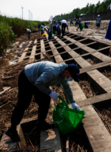 Volunteers pick up the marine litter