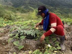 supporting farming activities