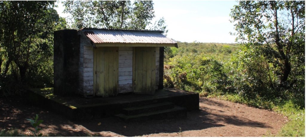 Improving children's health and education