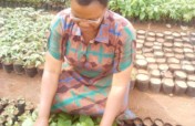 School Tree Planting Program 2021-22