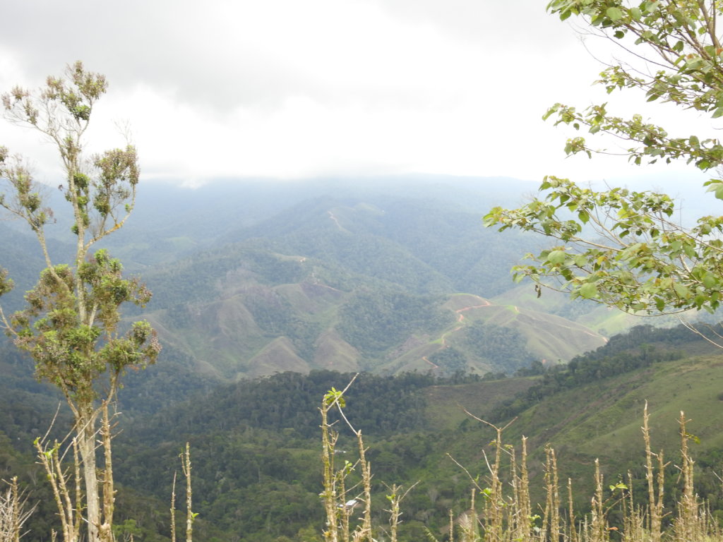 Conservation action in an Andean diversity hotspot