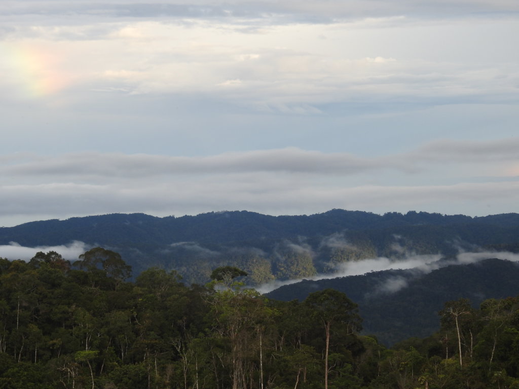 Conservation action in an Andean diversity hotspot
