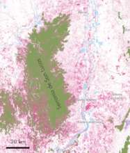 Land cover change over the past 20 years