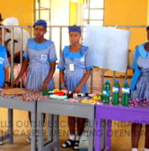 vocational/Enterprise skills corner showcase